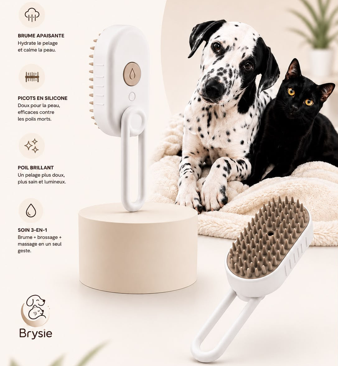 La Brysie : Brosse de soin 3-en-1