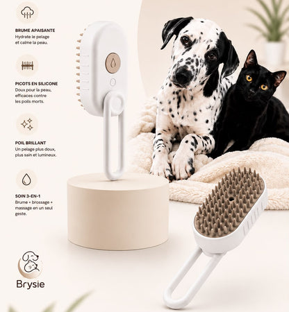 La Brysie : Brosse de soin 3-en-1